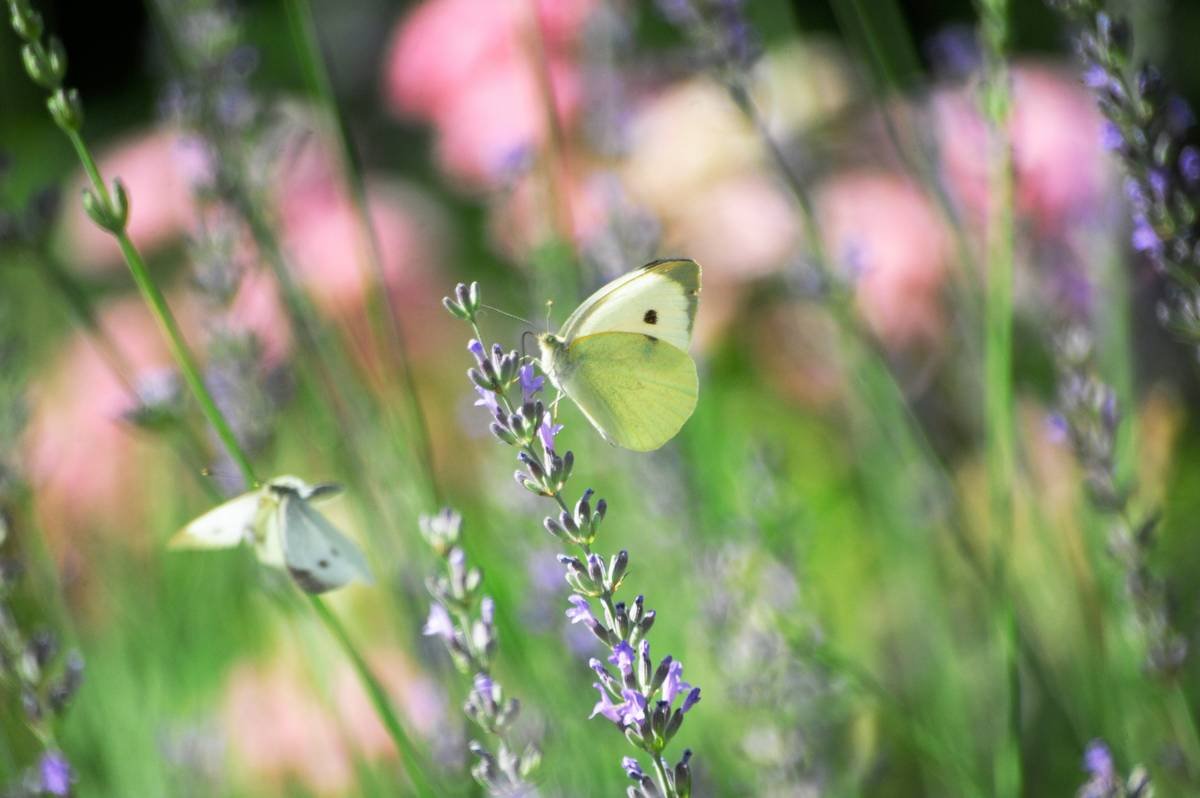 The Ultimate Flexible Updo: How Hair Yoga Can Elevate Your Hairstyling Game